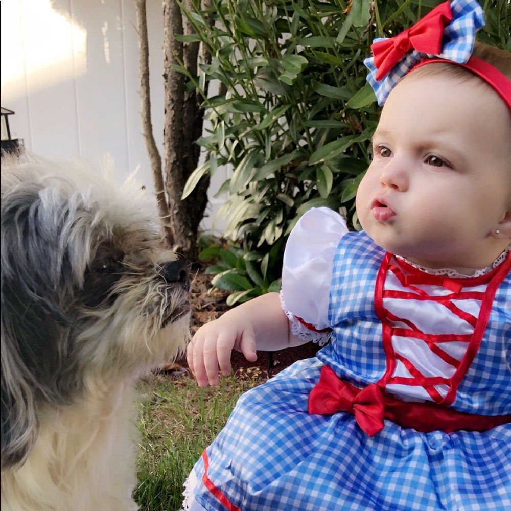 Dorothy costume